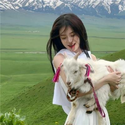 梦想的声音第三季 在线观看