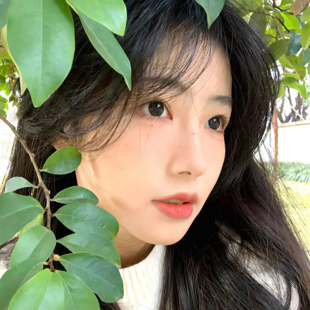 恋爱指南我指北 在线观看